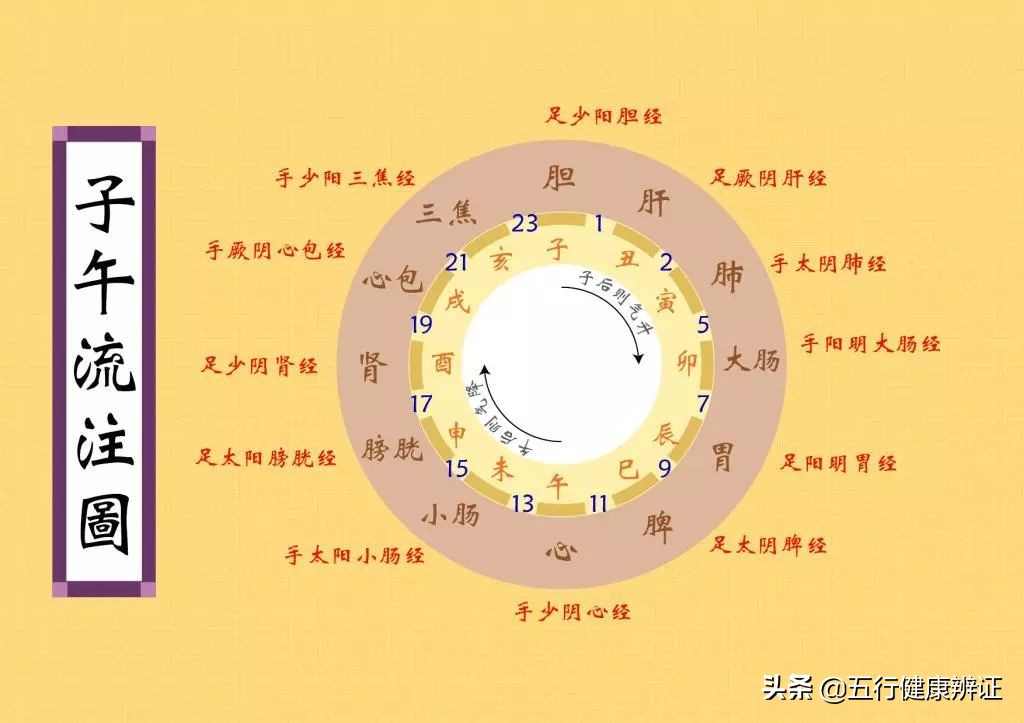 黄帝内经说肾与骨,黄帝内经说转脚有什么奇效