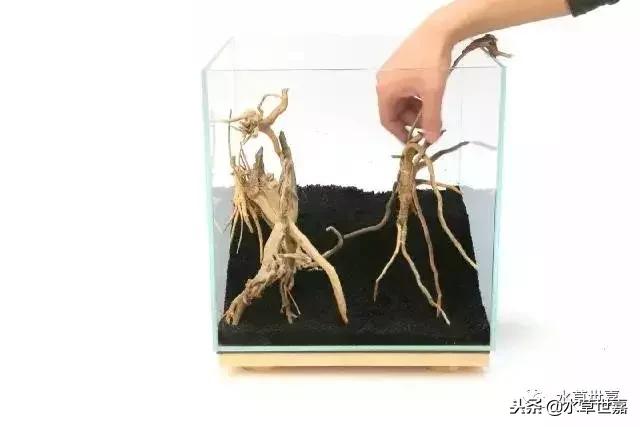 30cm小缸青龙石造景大全,30cm长缸原生溪流缸造景