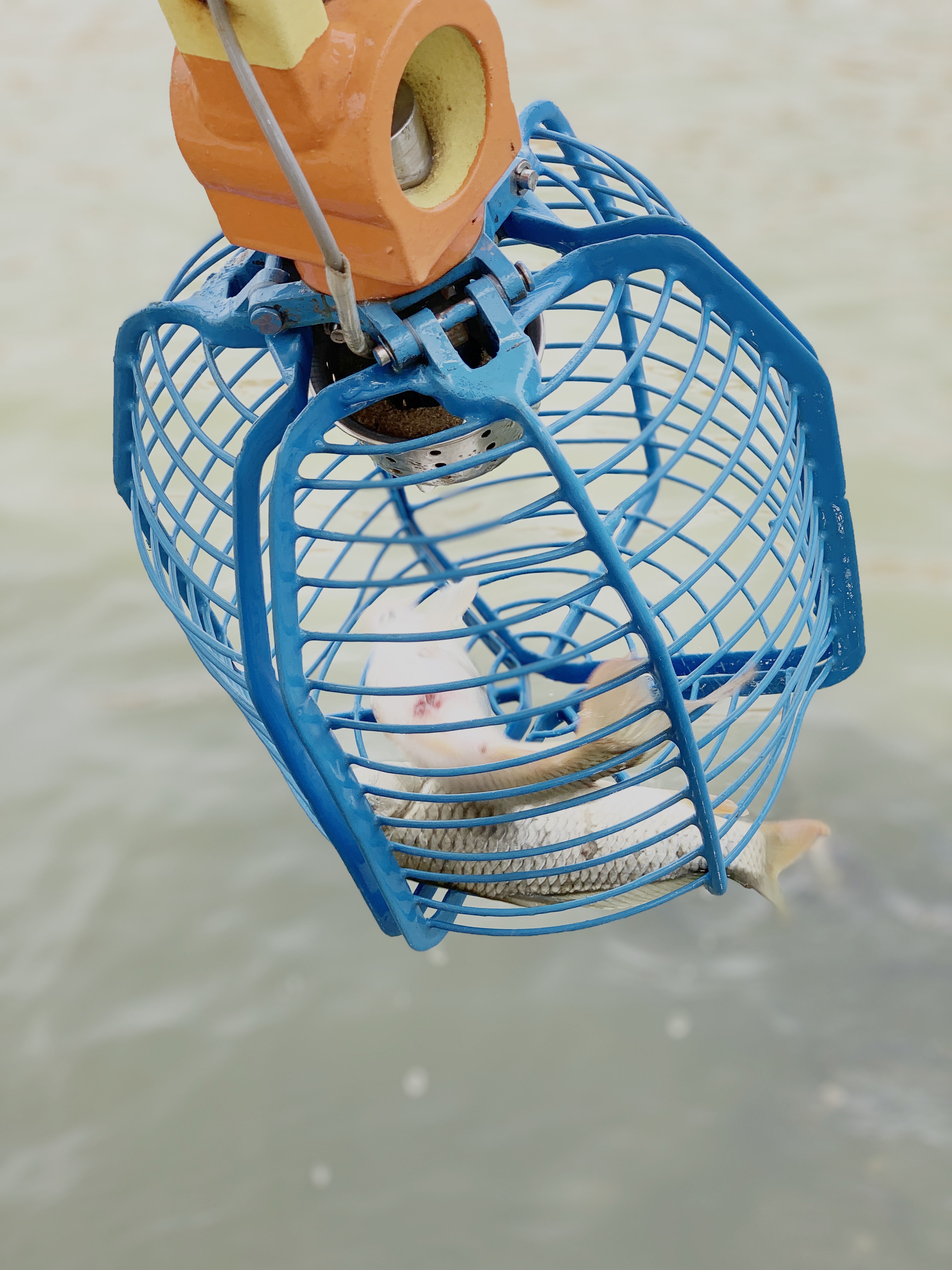 亲子游玩好去处嬉水狂欢,京津冀亲子游温泉乐园