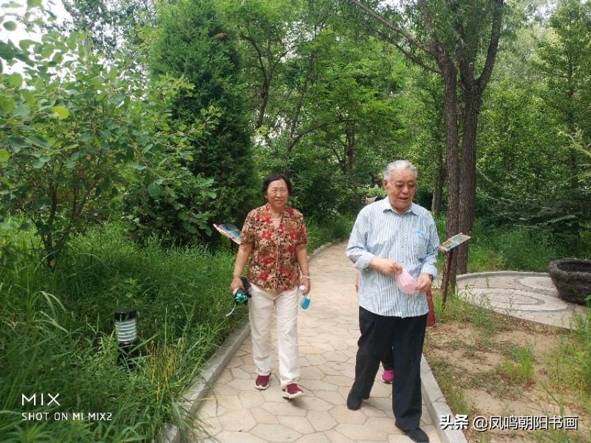 北戴河鸽子窝公园旅游攻略,北戴河鸽子窝一日游