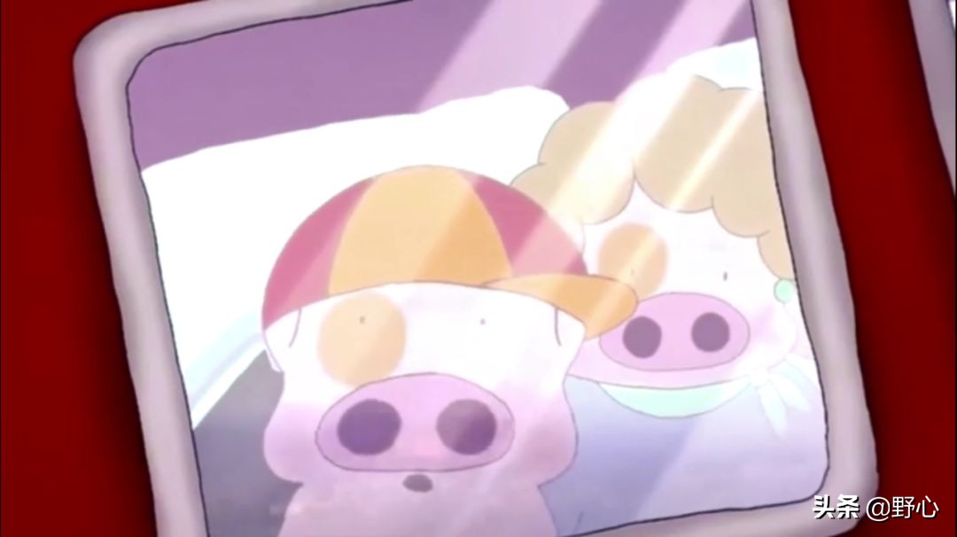 没能去马尔代夫旅游的原因,不会潜水去马尔代夫玩啥