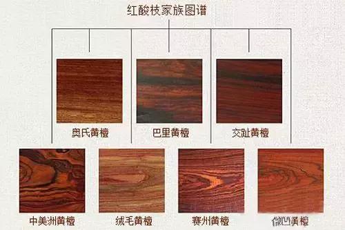 木材的发展与前景,木材界的黑马