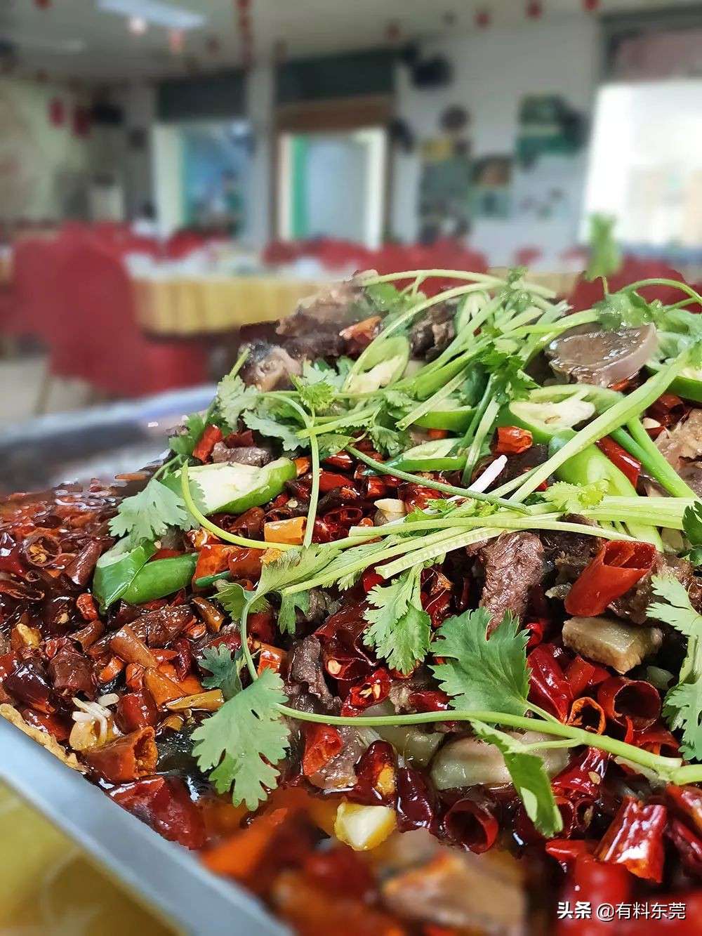 牛鞭牛宝汤优惠团购,牛宝牛鞭汤优惠