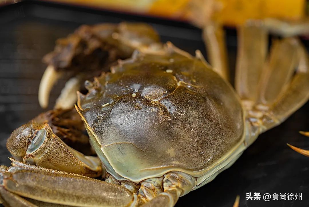 吃阳澄湖大闸蟹地方,吃阳澄湖大闸蟹的最佳地方在哪