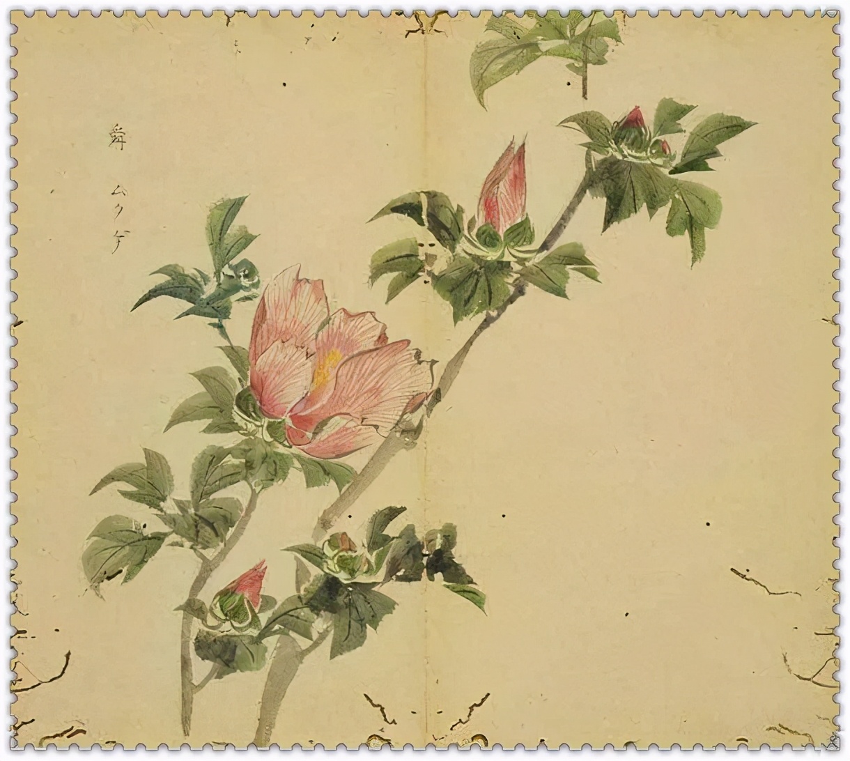 诗经中最美的春天,诗经中的春天穿越了千年