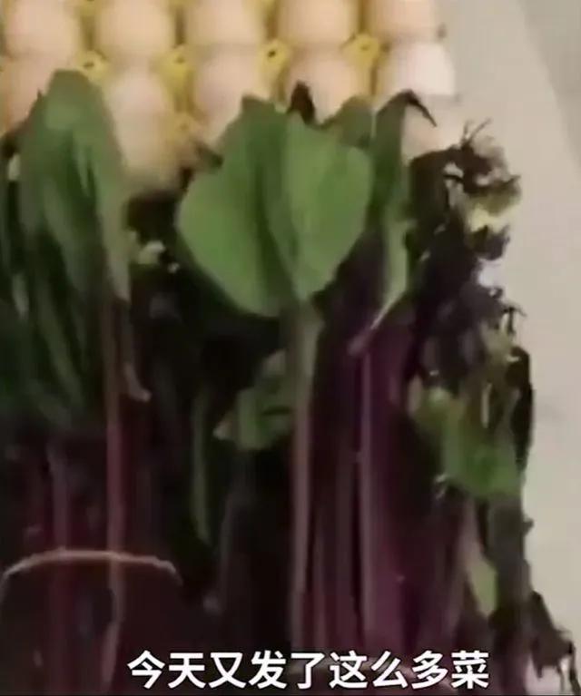 女子晒派出所老公物资,女子晒派出所分发物资