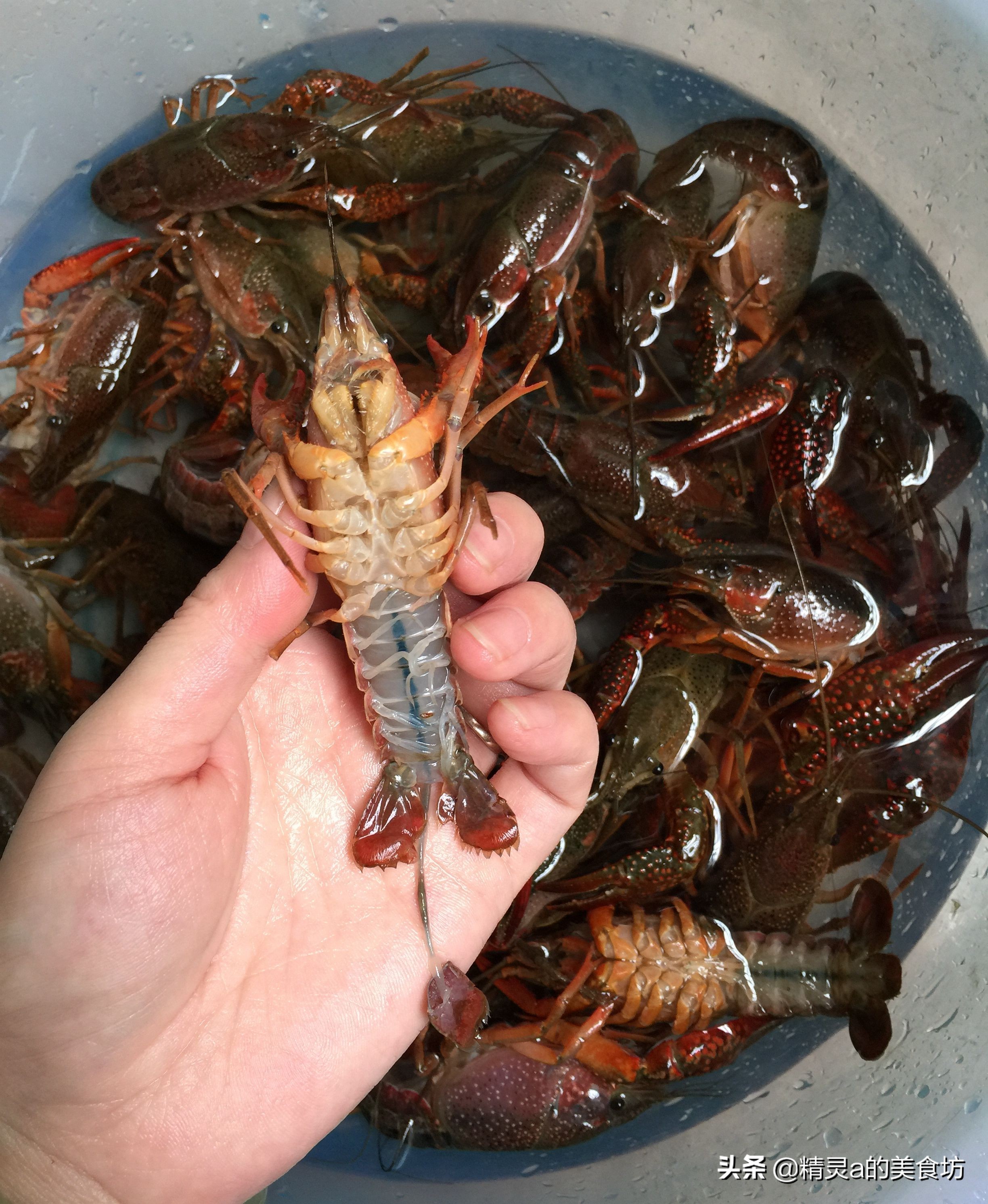 这才是小龙虾的正确打开方式,享用小龙虾的正确姿势get起来
