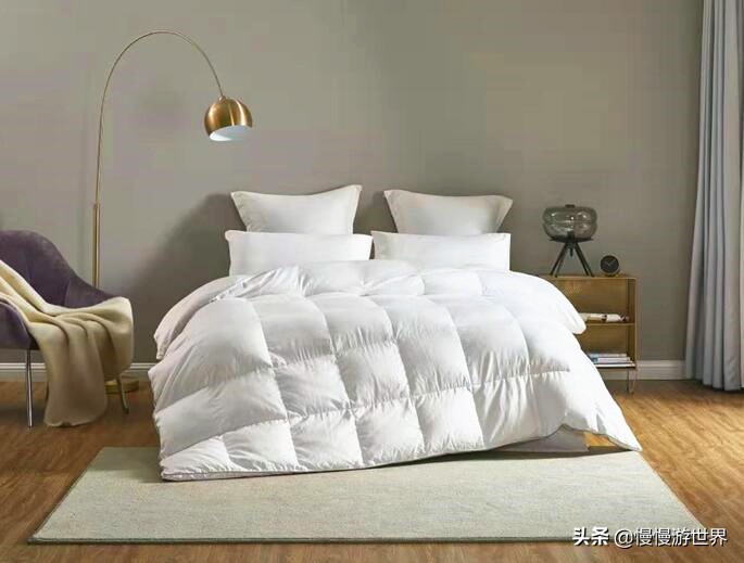 新吉尼斯世界纪录,吉尼斯世界纪录