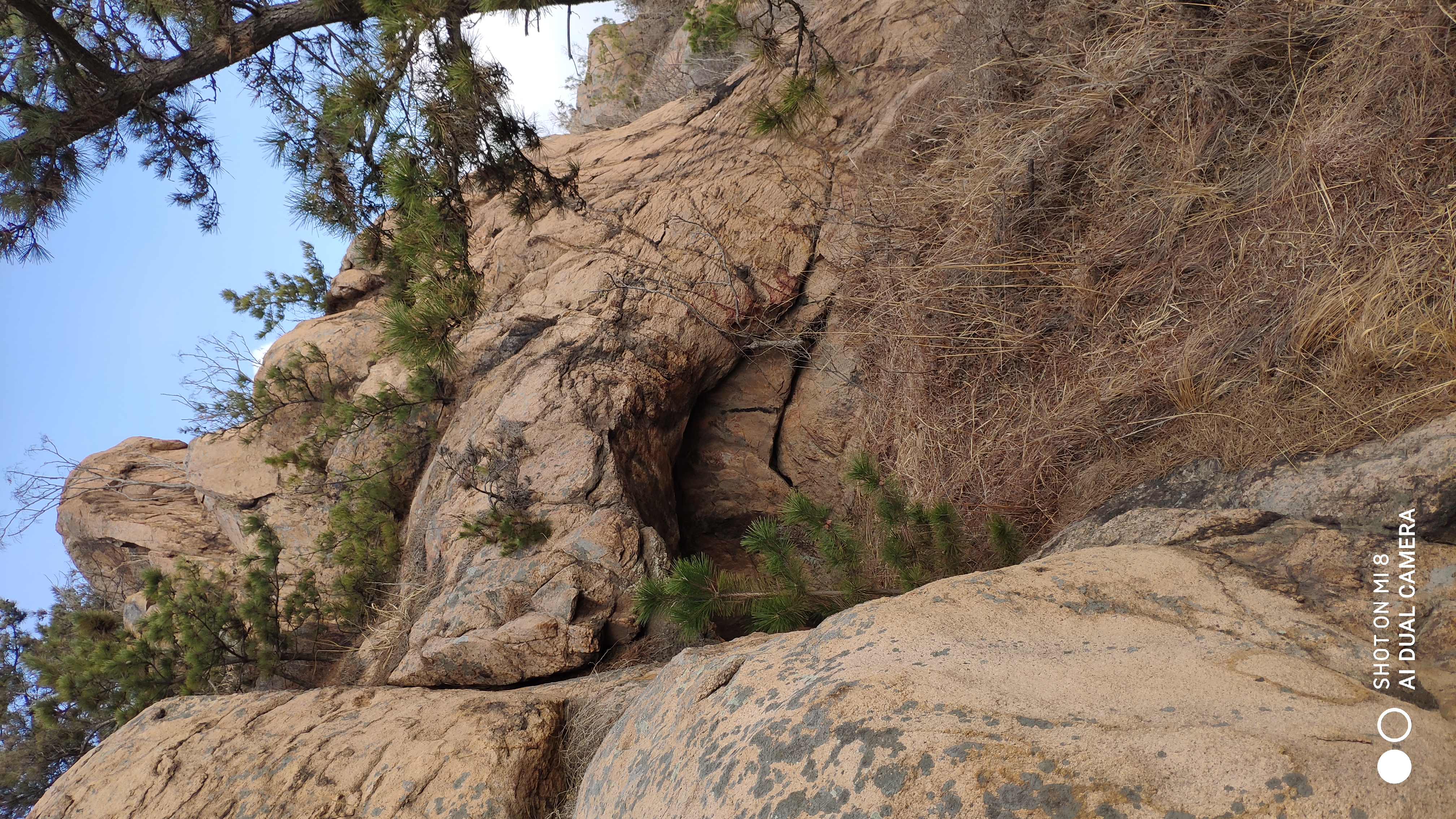 崂山水畔菜蔬鲜，黄石洞中书韵长