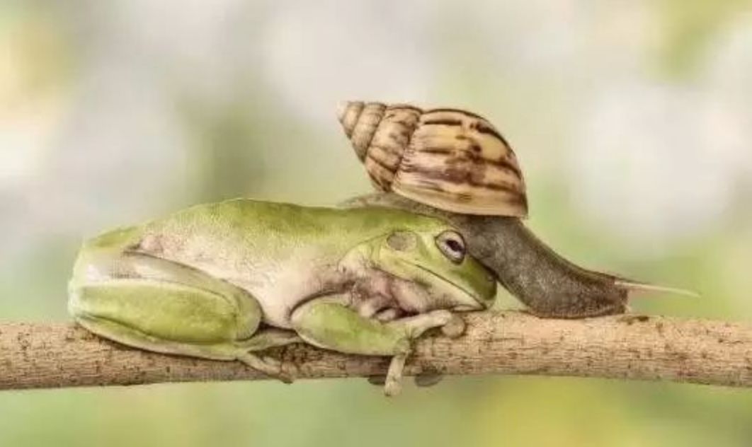 每个生命都值得被虐待,任何生命都不该被虐待