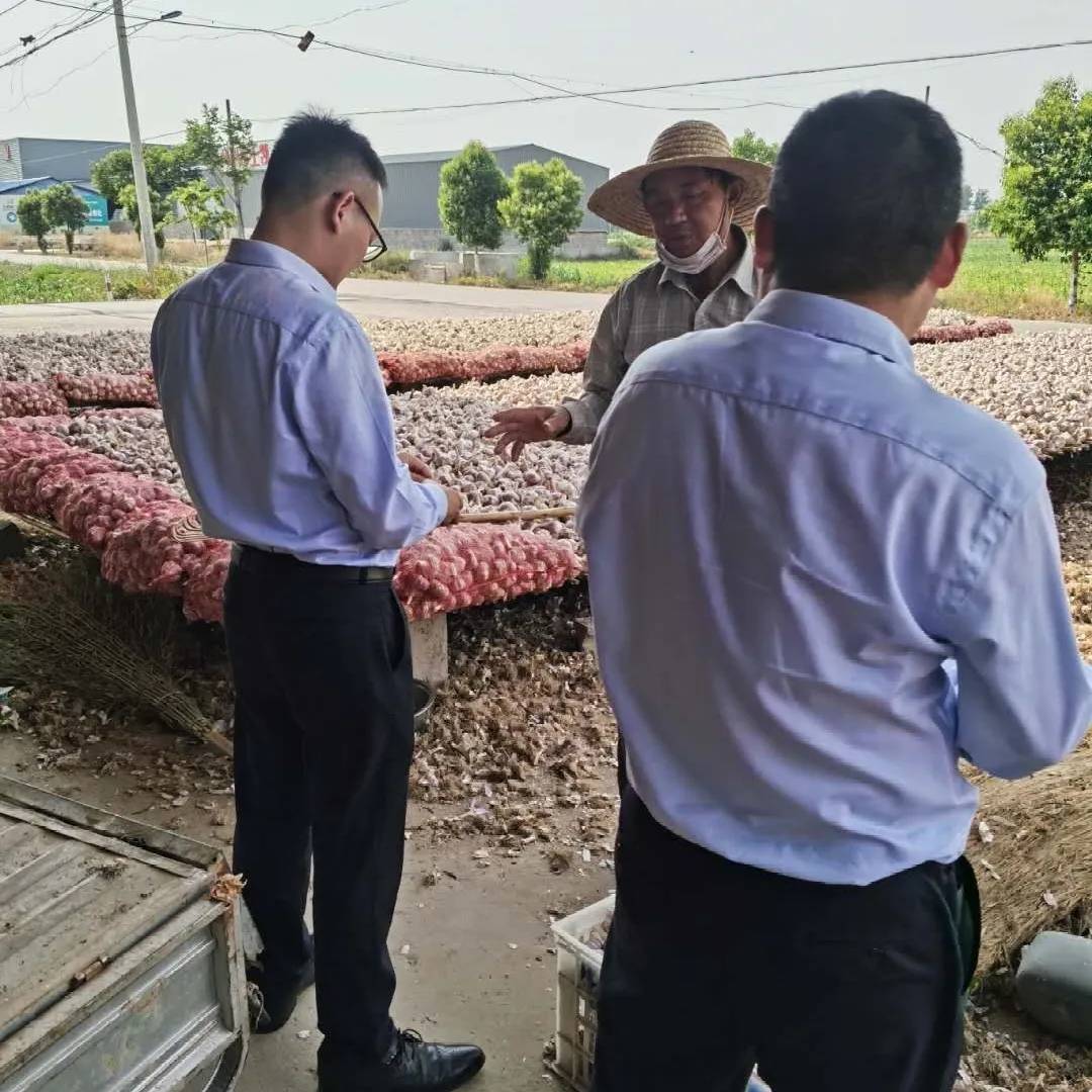 真情服务助“蒜季”，播洒惠农“及时雨”