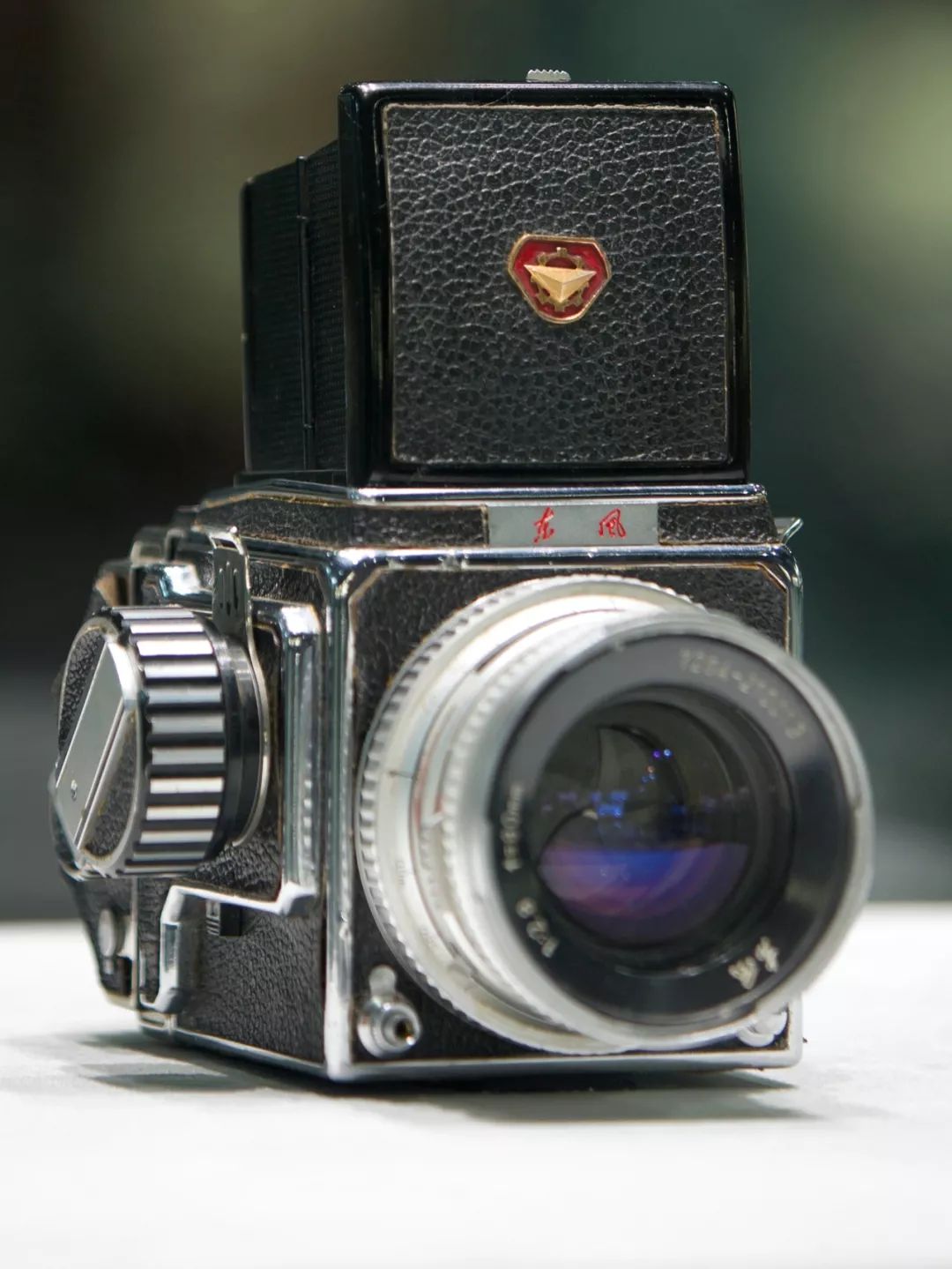 海鸥照相机品牌历史和现状,海鸥相机有几个型号