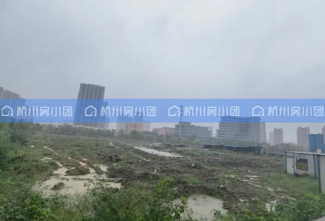 千人摇新盘哪些值得期待,万人摇红盘之外还有什么样的楼盘