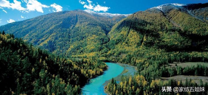 真正的天丝到底什么样,天丝真的那么好吗