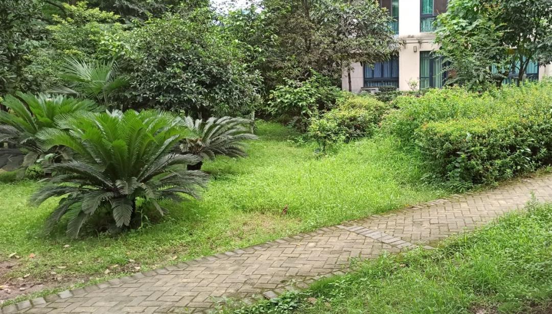 雷翻天！重庆首个带空中泳池的超级豪宅交房，现场惨不忍睹