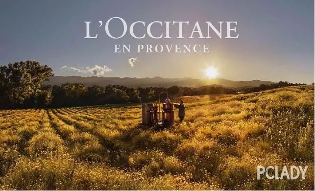 No.178永恒之花续写青春再生传说——蜡菊眼霜+面膜