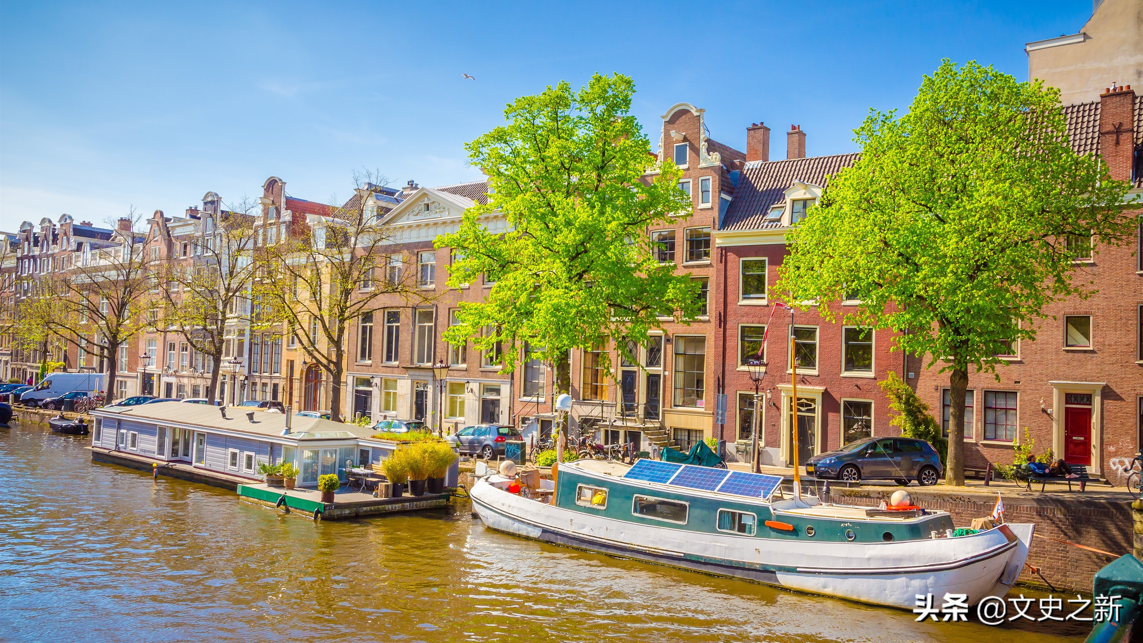 荷兰宣布性合法后遗症,荷兰交易合法引发的问题