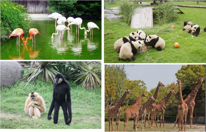 上海松江区亲子游玩地点推荐,上海亲子骑行路线推荐