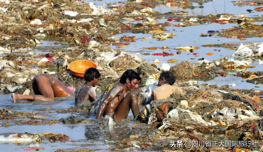 世界行为迷惑大赏,世界迷惑行为大赏解说