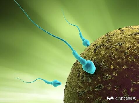 试管婴儿的10个真相，无论好坏都有，这大概是史上最良心的解答