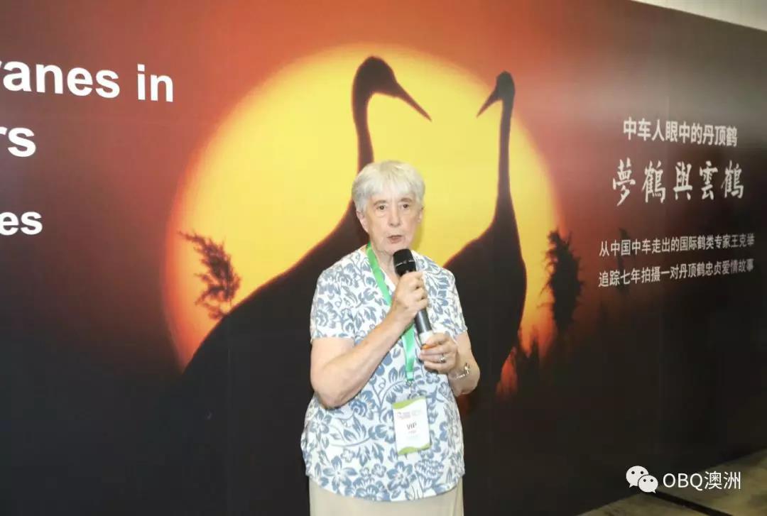 悉尼茶博会,2019年悉尼狂欢中国节