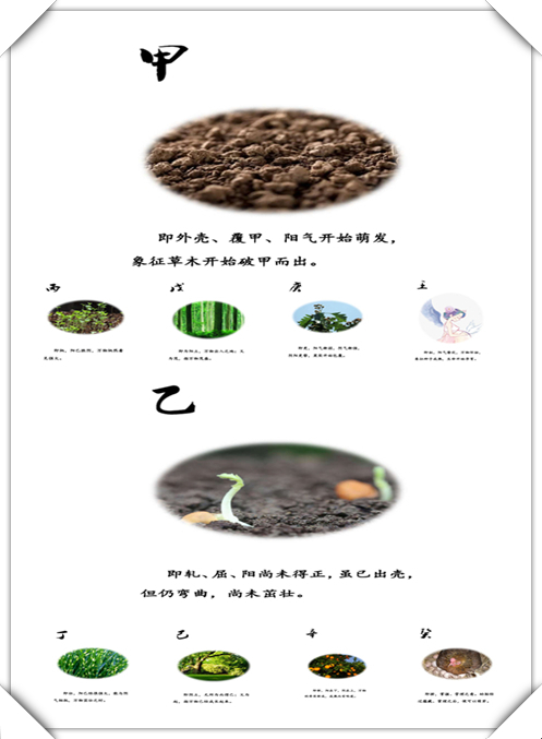 干支纪年法计算今年是什么年,怎样快速计算出干支纪年法