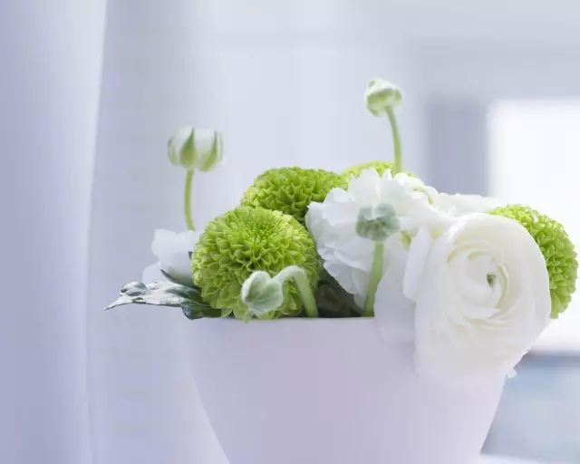 花店里买回来的鲜花怎么放更长久,花店鲜花如何保存时间可以比较长