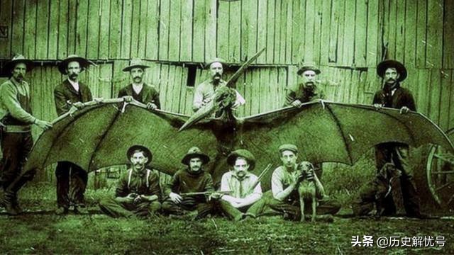 美国人抓巨型翼龙图片,美国人抓巨型翼龙