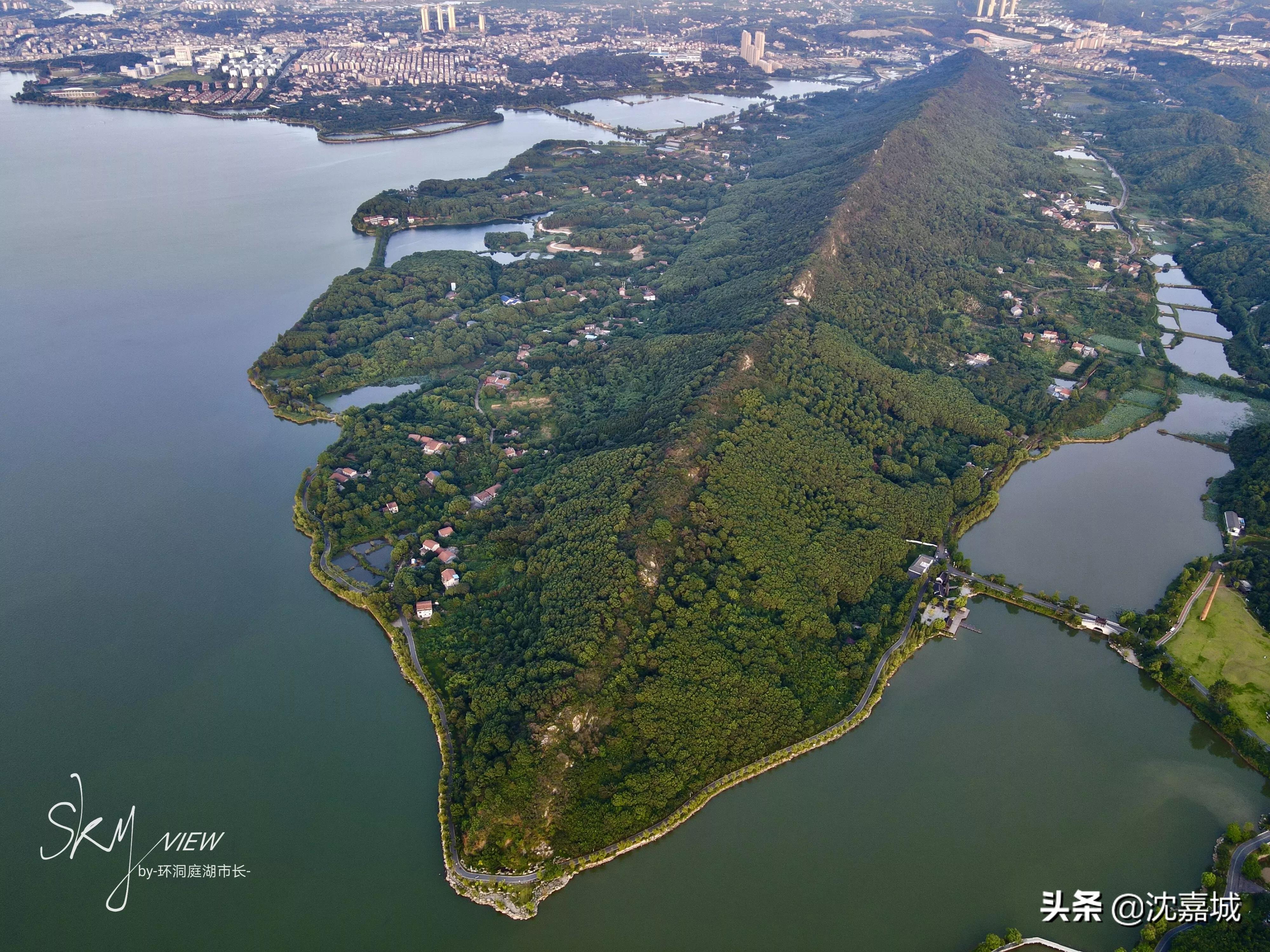 龙山公园有什么项目,岳阳龙山风景区在哪里