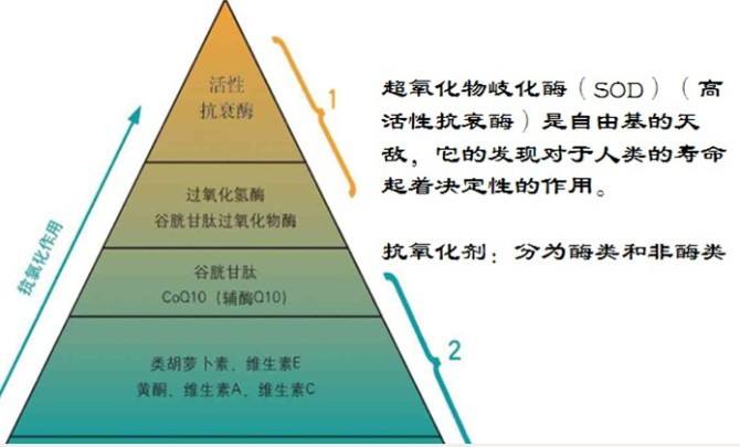 晒后起皮如何有效补水,晒伤干皮后如何修复