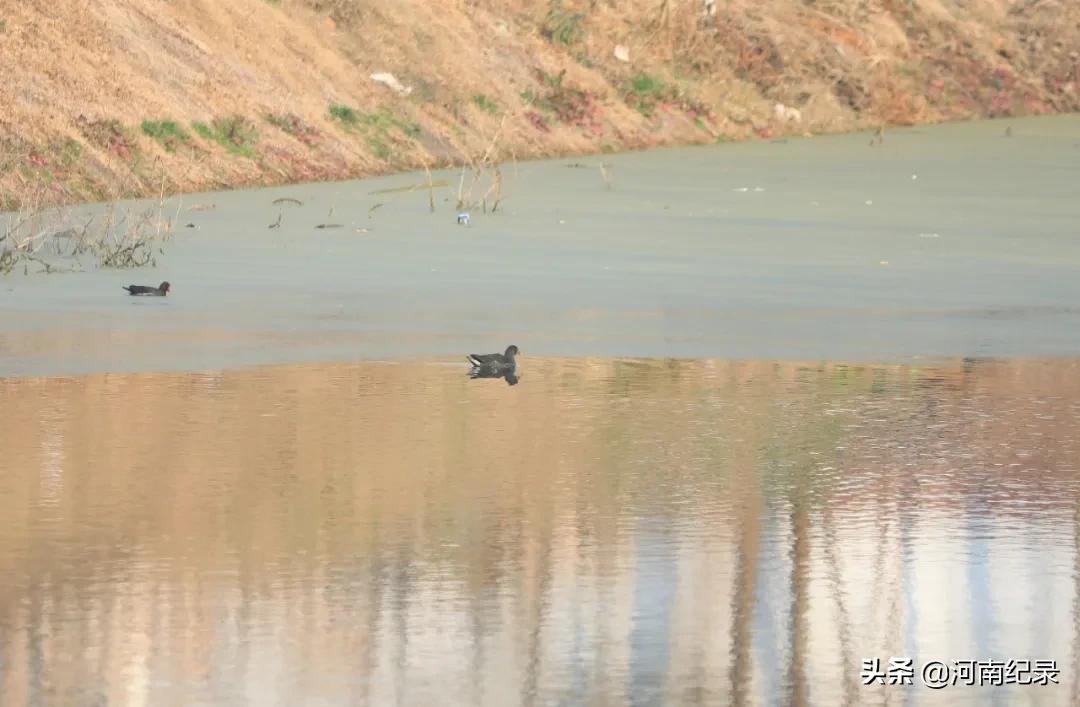 120个美丽乡村柘城入选,河南柘城县最美乡村