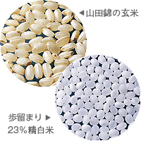 日本清酒獭祭什么价位,日本最贵十大清酒