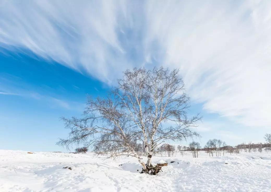 冬日的坝美有多美,冬日的坝上草原