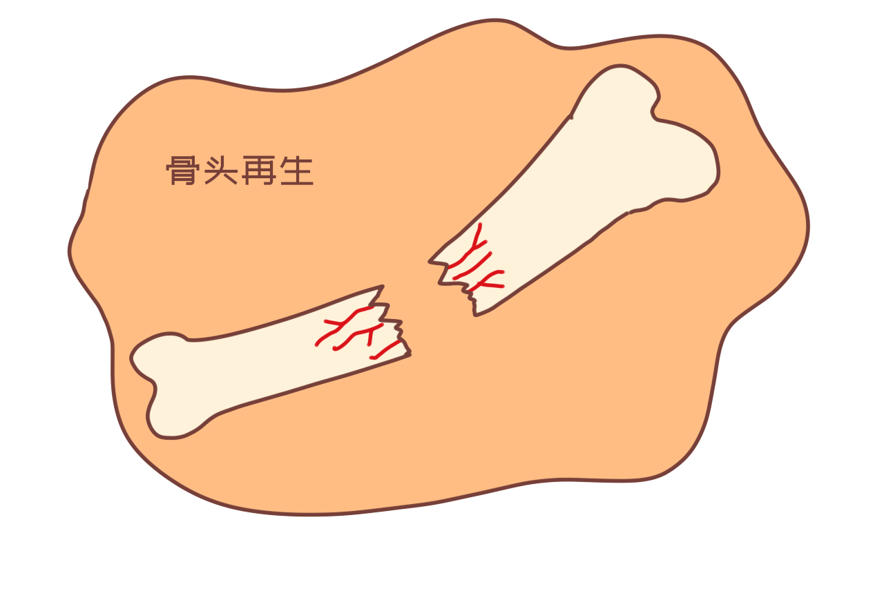 孩子乳牙需要保存吗有什么作用,孩子的乳牙怎么保存将来有作用吗