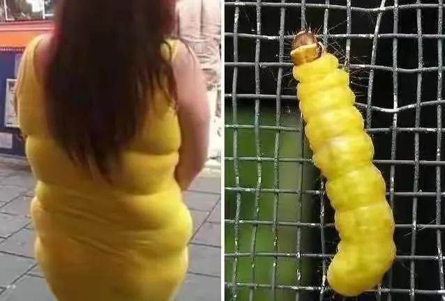 你们也有过撞衫的尴尬吗,最尴尬的撞衫没有之一