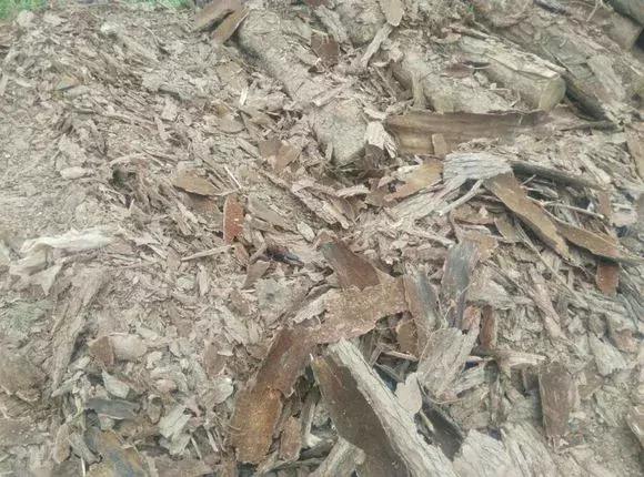 家养绿萝盆里的土越来越少怎么办,土养的绿萝要怎么样才不会黄叶子