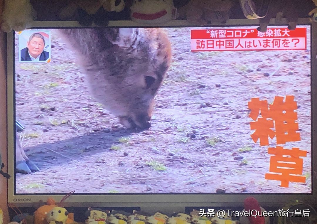 如果没有中国游客,世界该有多无聊