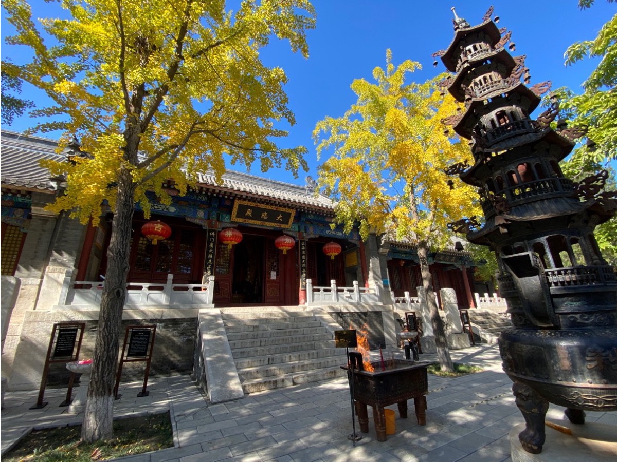 北京磨盘柿子采摘季节,磨盘柿子最佳采摘期