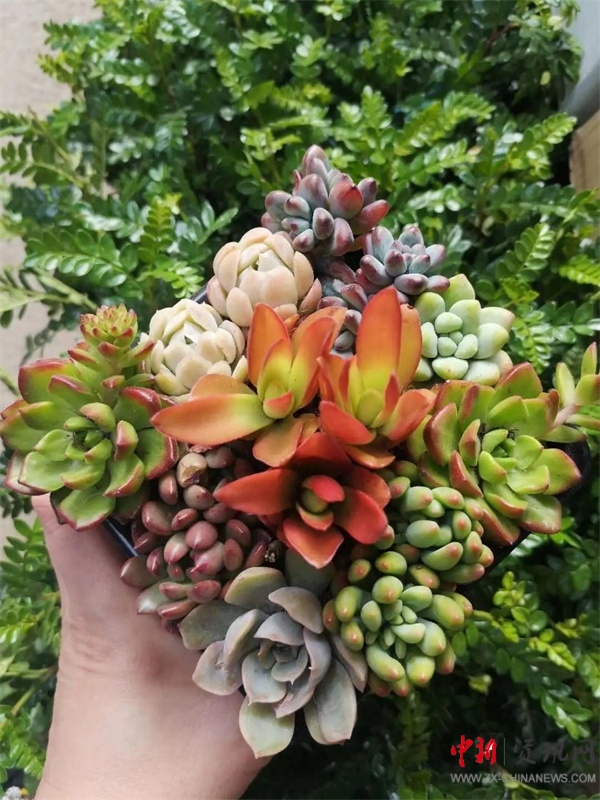 ISQS|全课程的魅力!国小学生在《秘密花园》中寻找成长的魔法!