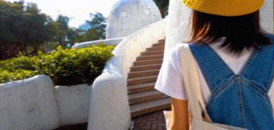 大疆口袋云台视频编辑教程,口袋云台相机各种模式使用技巧