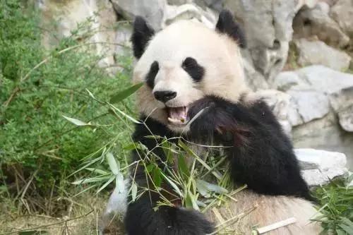 瑞康医药为何一路大跌这么多,瑞康医药近五年盈利能力分析