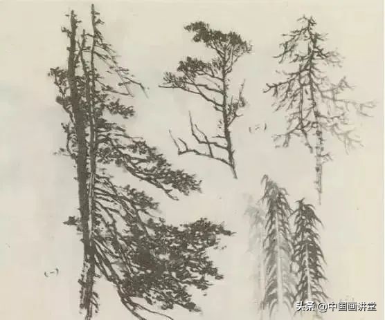 缠枝、挺杆、屈节、钮裂、一棵树如何画？看了这篇你绝对能学会