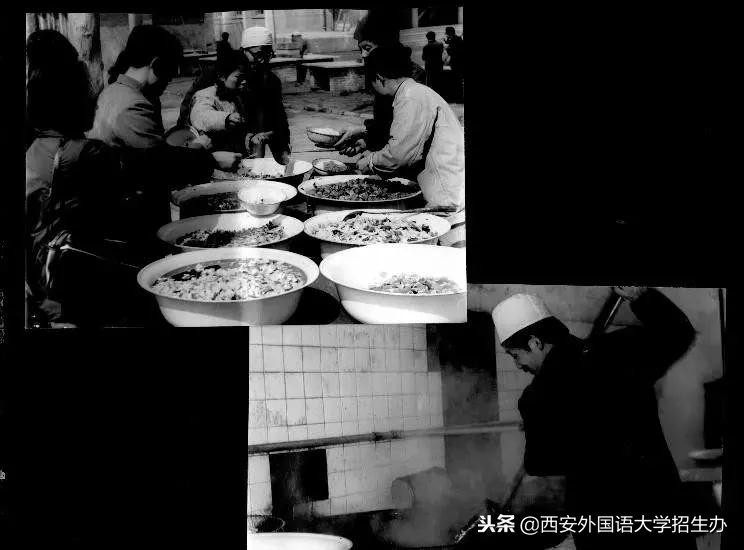 西安外国语大学70年校庆回放,西安外国语大学现状