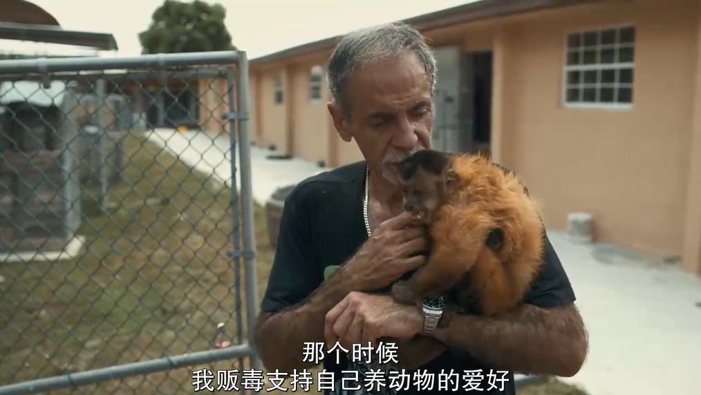 一夫多妻、*教邪***脑洗**、富豪失踪,你敢跟我说是真人真事?