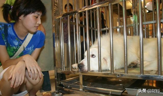 网上购物出了问题怎么赔偿,网上购物损失怎么赔偿