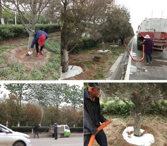园林植物枝干防治,园林植物的主要叶部病害