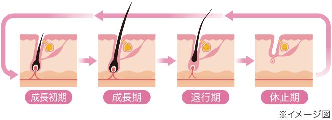 赋活头皮洗护系列,三谷头皮养护洗发水测评