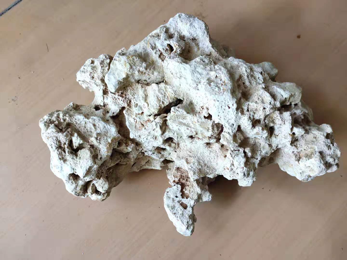 金鱼老掉鳞怎么回事,没有寄生虫金鱼为什么蹭缸