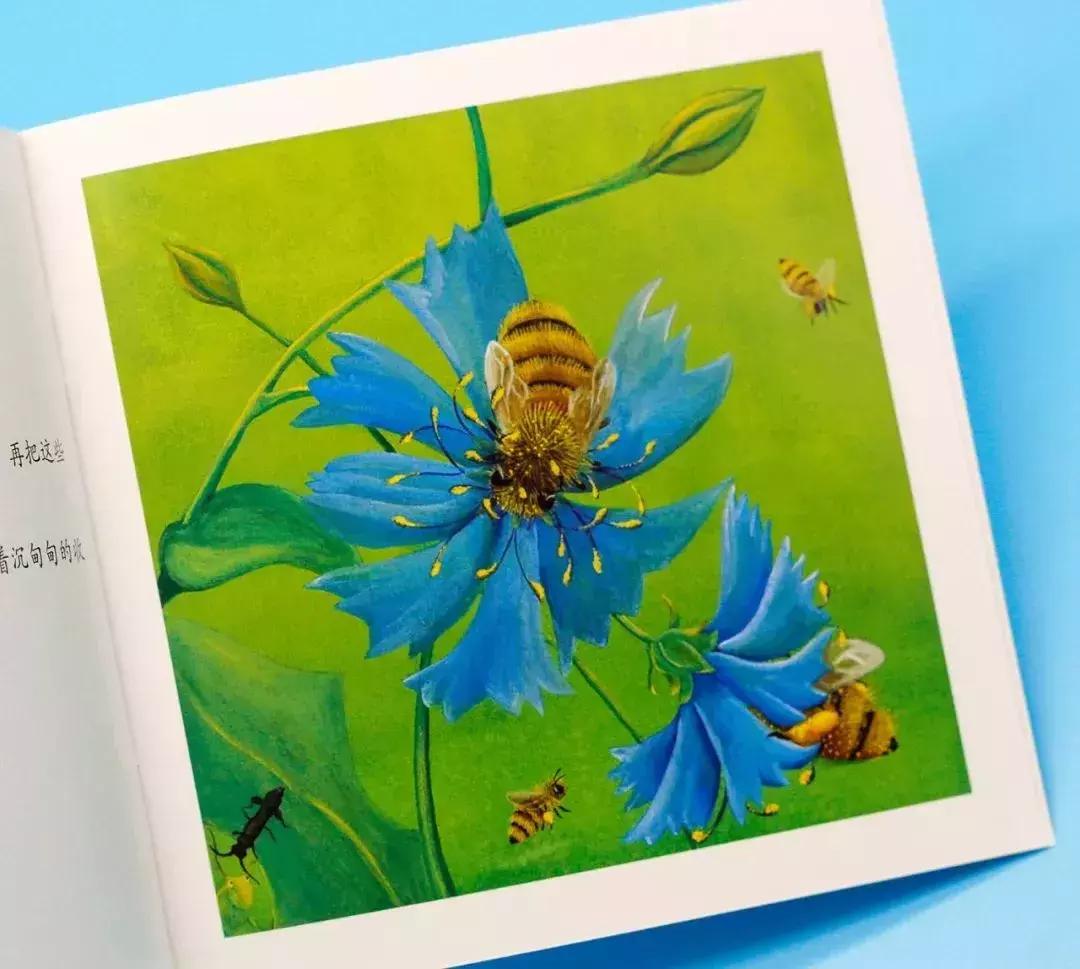 意大利畅销童书,意大利绘本世界十大著名童话