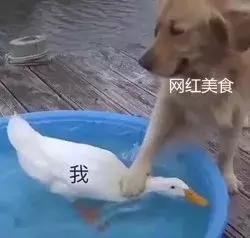 宁波特色美食排行榜前十名,宁波网红小吃有哪些最火爆